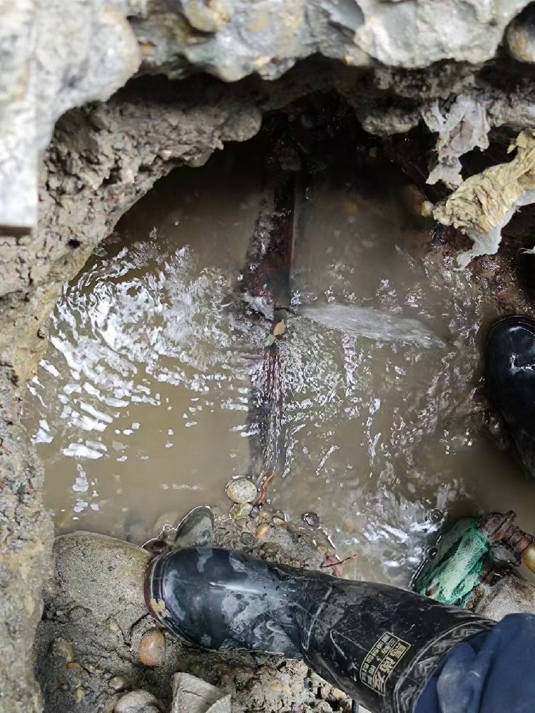 巴楚本地绿化水管漏水检测维修